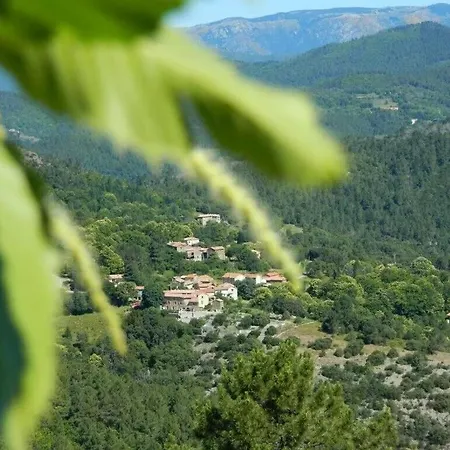 Cevennes De Plein Pied Confort Avec Piscine Privative 12 Pers * Branoux-les-Taillades